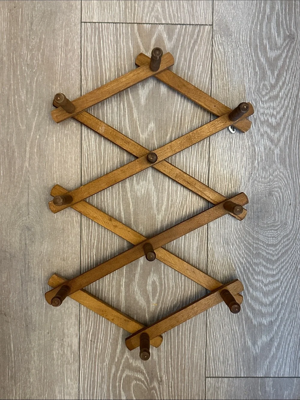 Vintage Accordion Hook